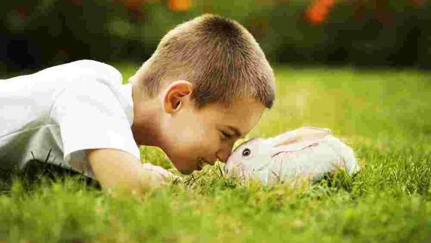 How Pets Teach Children